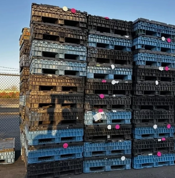 Reconditioned collapsible bulk containers ready to ship