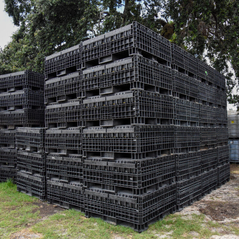 Reconditioned Collapsible Bulk Container – 48 × 45 × 42 in