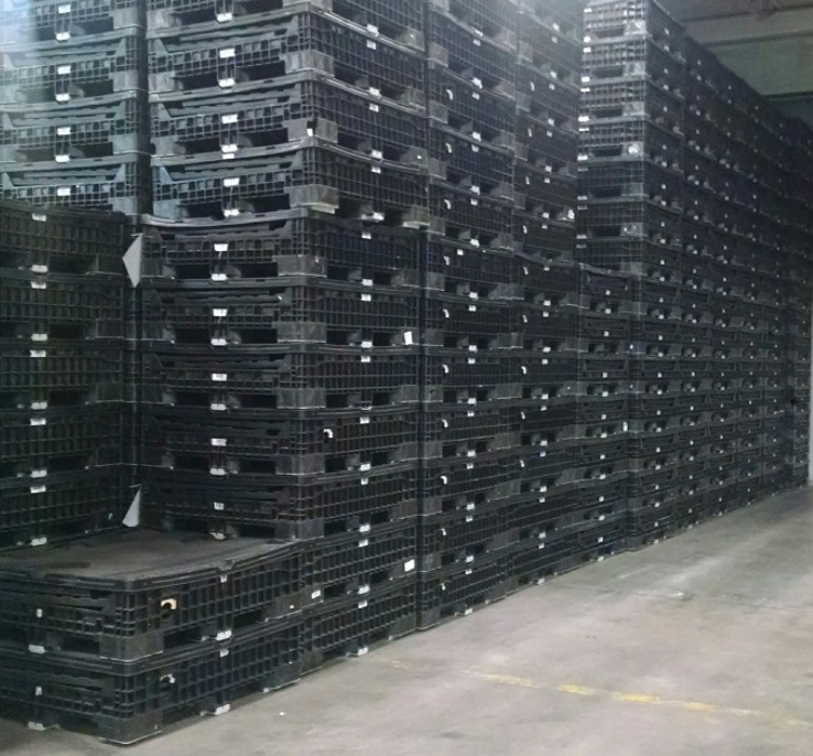 Reconditioned collapsible bulk containers — cleaned and inspected pallet boxes ready to deploy