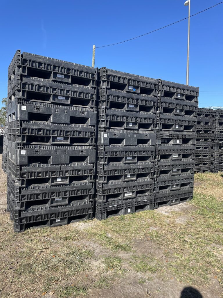 48 × 45 × 34 Reconditioned Container