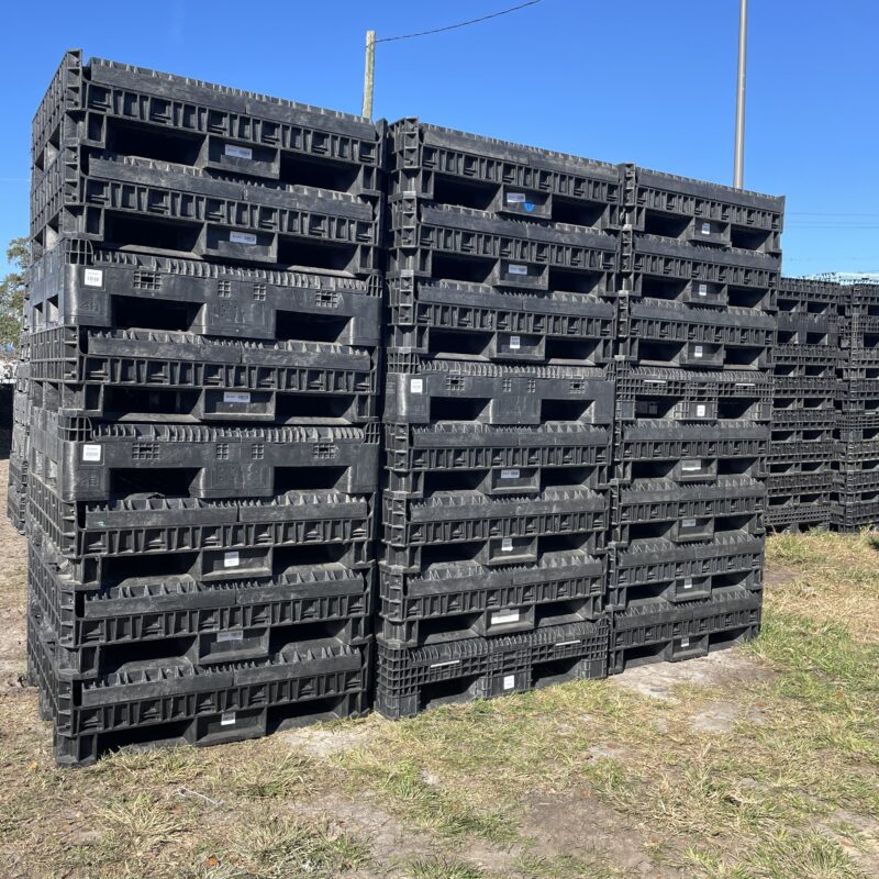 Reconditioned Collapsible Bulk Container – 48 × 45 × 34 in