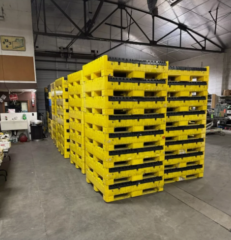 48 × 45 × 25 Reconditioned Container